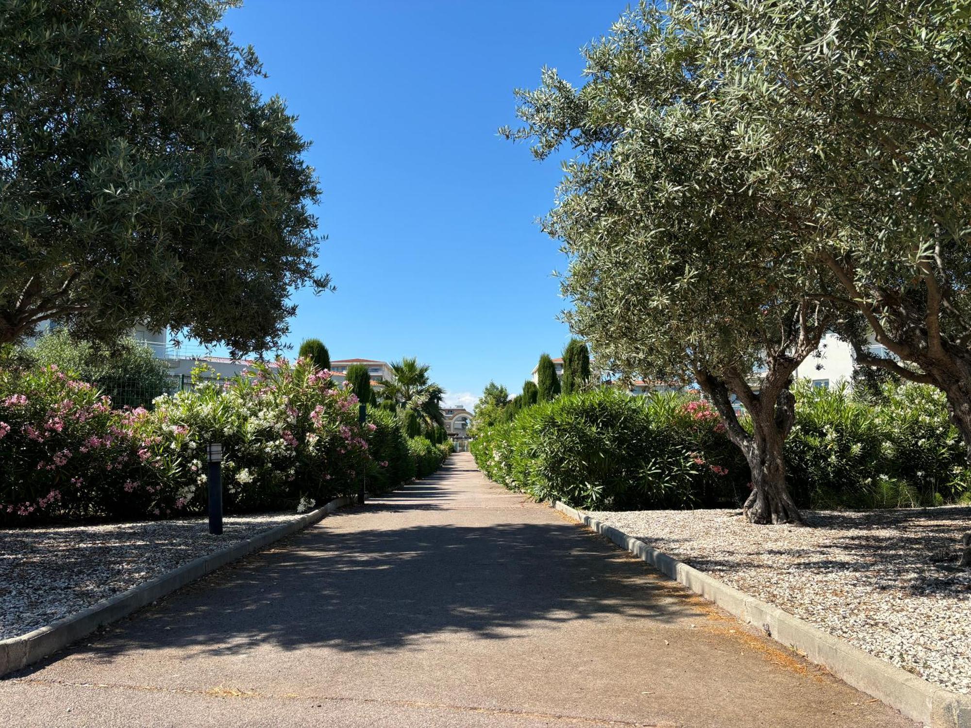 Beachside Apartment With Pool & Garden In Juan Les Pins Antibes Exteriér fotografie