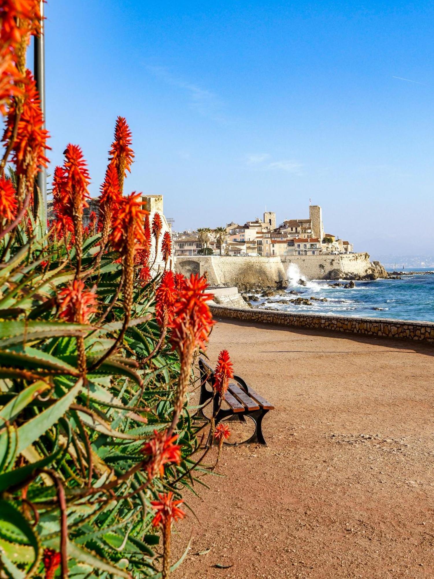 Beachside Apartment With Pool & Garden In Juan Les Pins Antibes Exteriér fotografie
